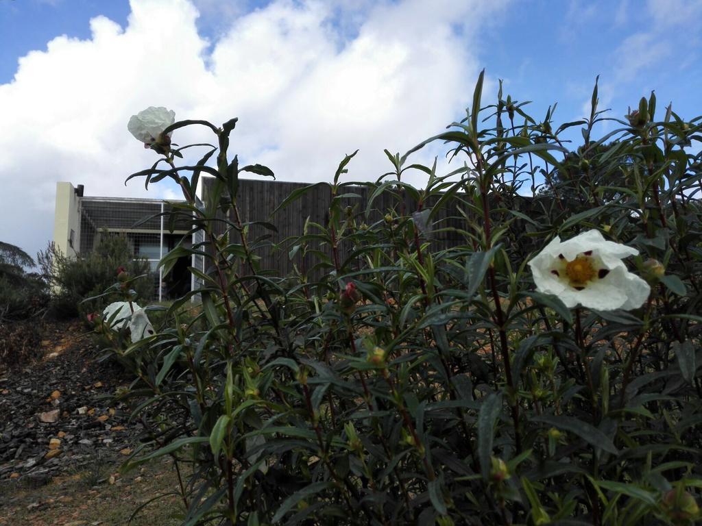 منزل الضيف Helechosa  في Casas Rurales Cijara المظهر الخارجي الصورة