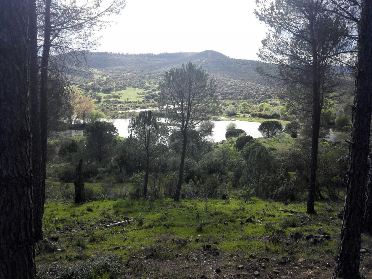 منزل الضيف Helechosa  في Casas Rurales Cijara المظهر الخارجي الصورة