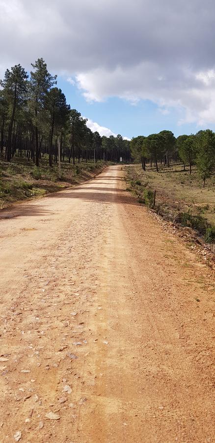 منزل الضيف Helechosa  في Casas Rurales Cijara المظهر الخارجي الصورة